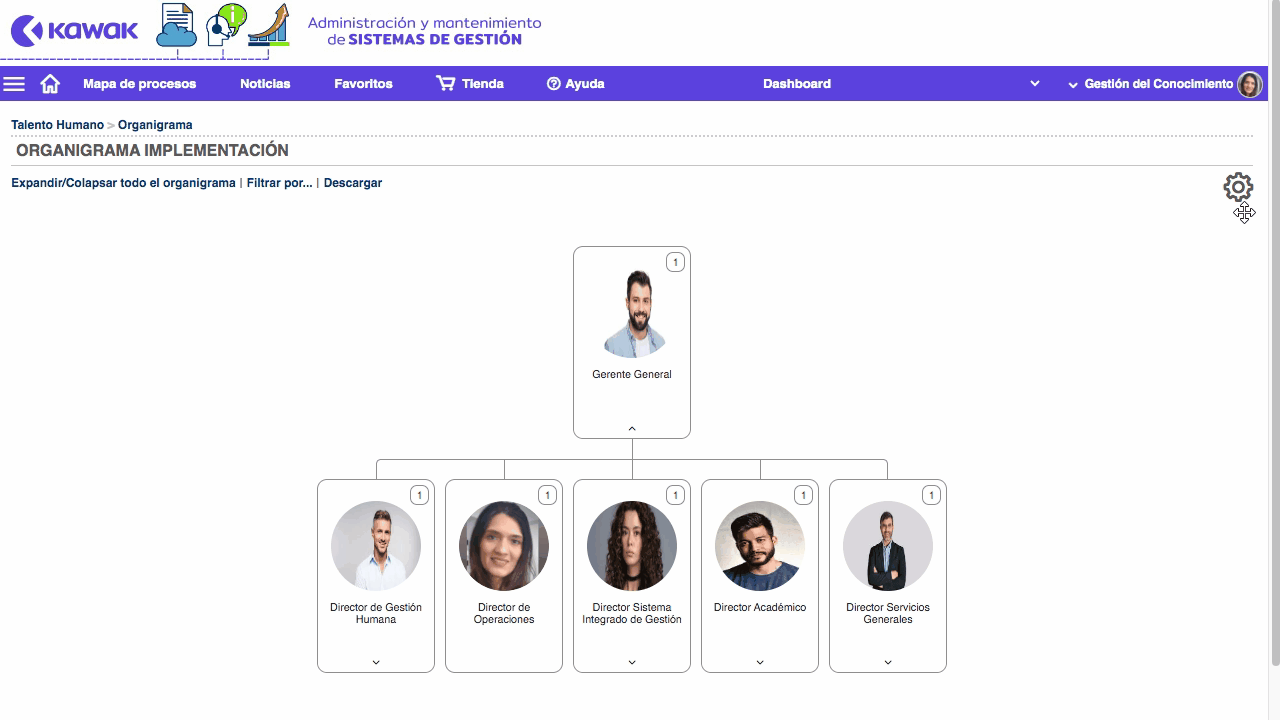 Agregar-colores-organigrama-niveles