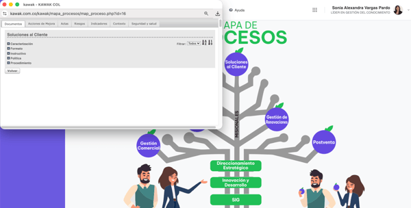 mapa-de-procesos-consulta